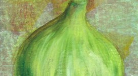 Study of a Fig