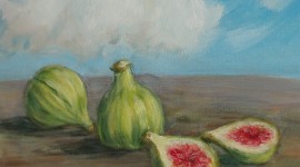 Figs, #1