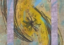 Stargazer