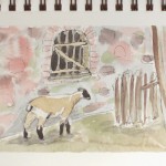 Sheep at winery watercolor sketch of sheep at winery