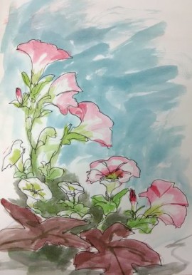 Petunias, Watercolor Sketch, sketching group, Life Needs Art