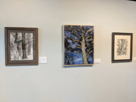 Trees Exhibit at Guren Art Gallery 2018, Cleveland Botanical Garden